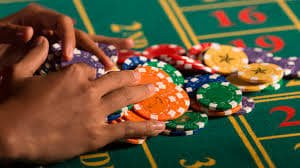 599 bet